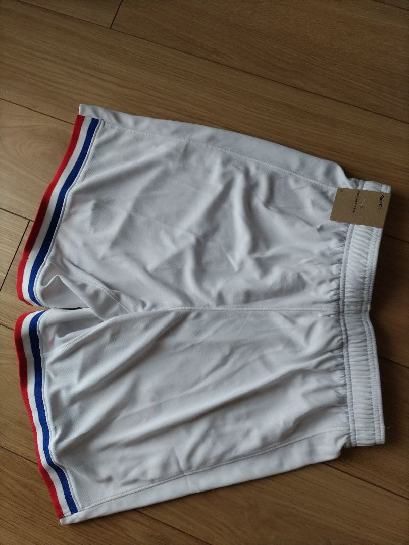 Nike DRI-FIT サッカー レプリカ ショート パンツ