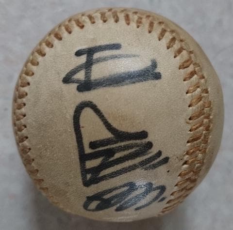 希少 王貞治 長嶋茂雄 直筆 サイン ボール 読売 ジャイアンツ 巨人軍現役時代