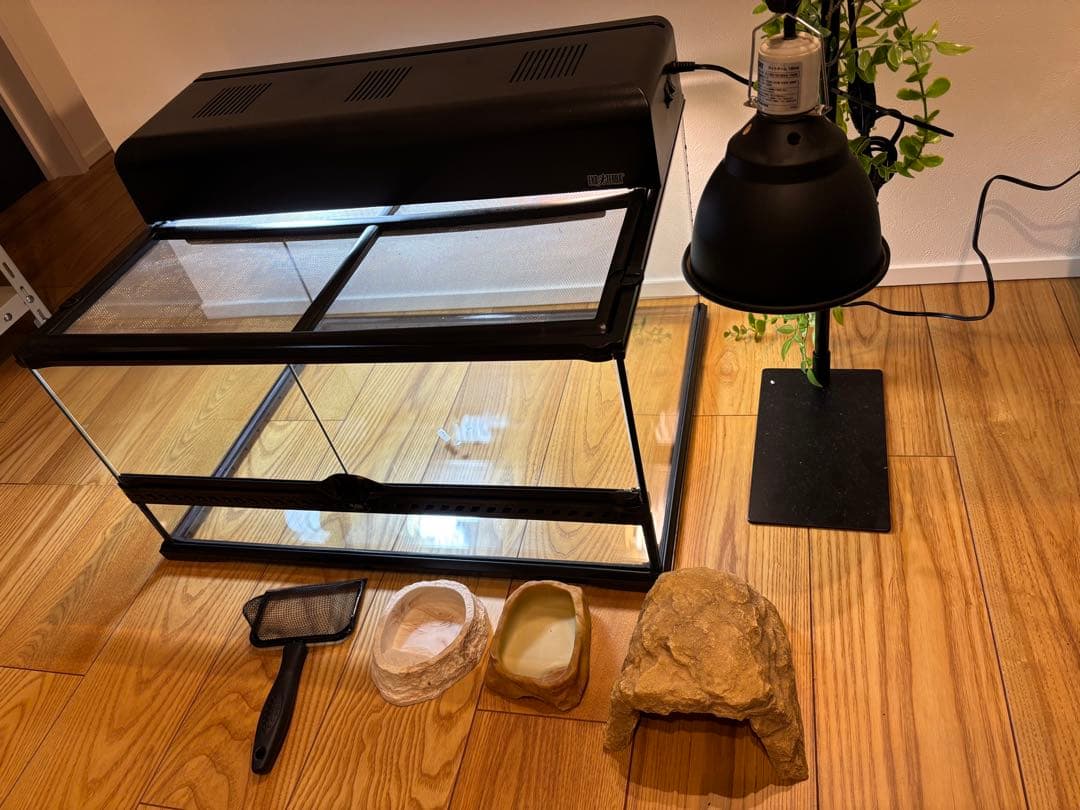 爬虫類　飼育セット　グラステリウム