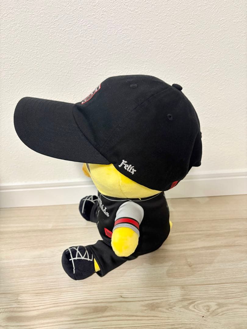 Stray Kidsスキズ　フィリックス　ポガリ　エコパスタジアム　事後通販