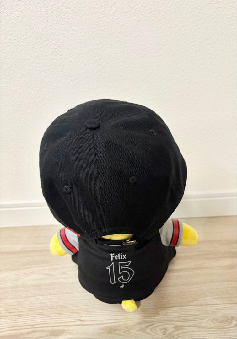 Stray Kidsスキズ　フィリックス　ポガリ　エコパスタジアム　事後通販