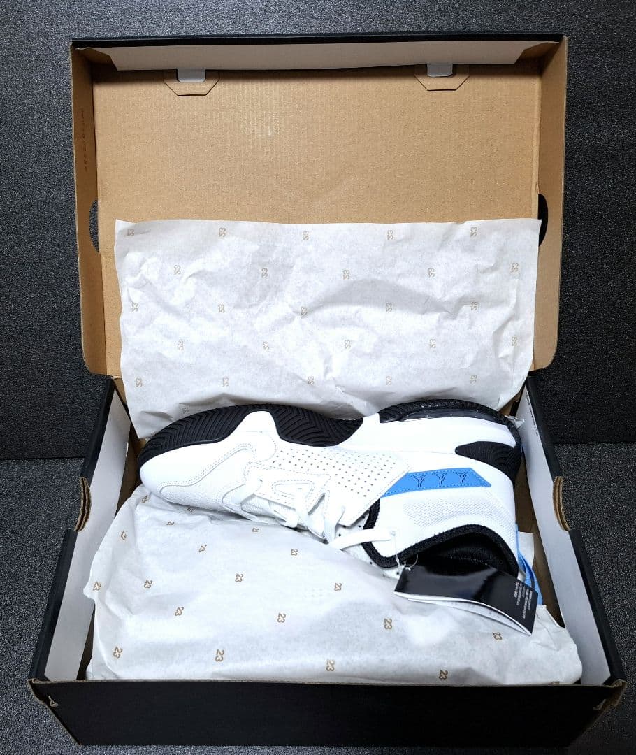 NIKE JORDAN STAY  2 ジョーダン ステイ ロイヤル2