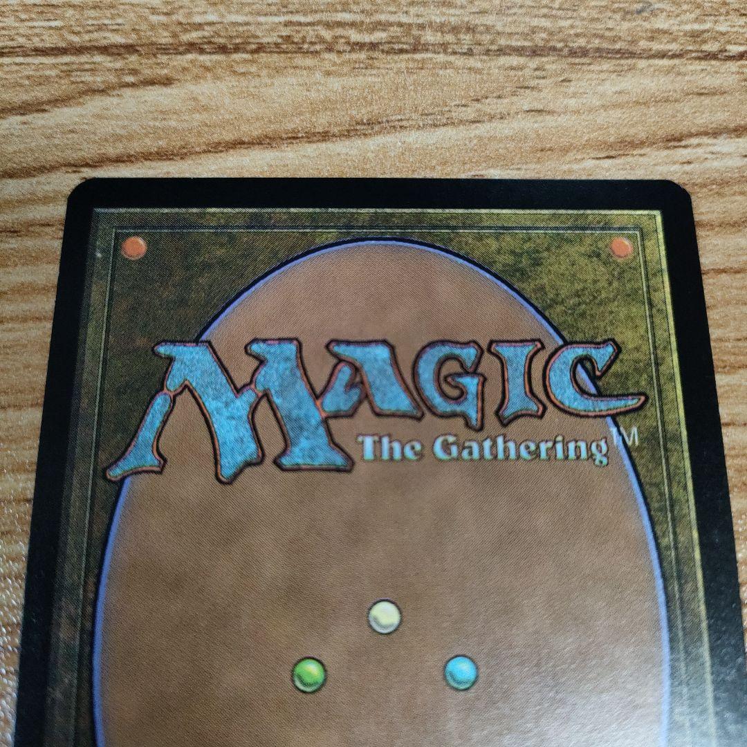 MTG 黄道の龍 中国語 1枚 美品