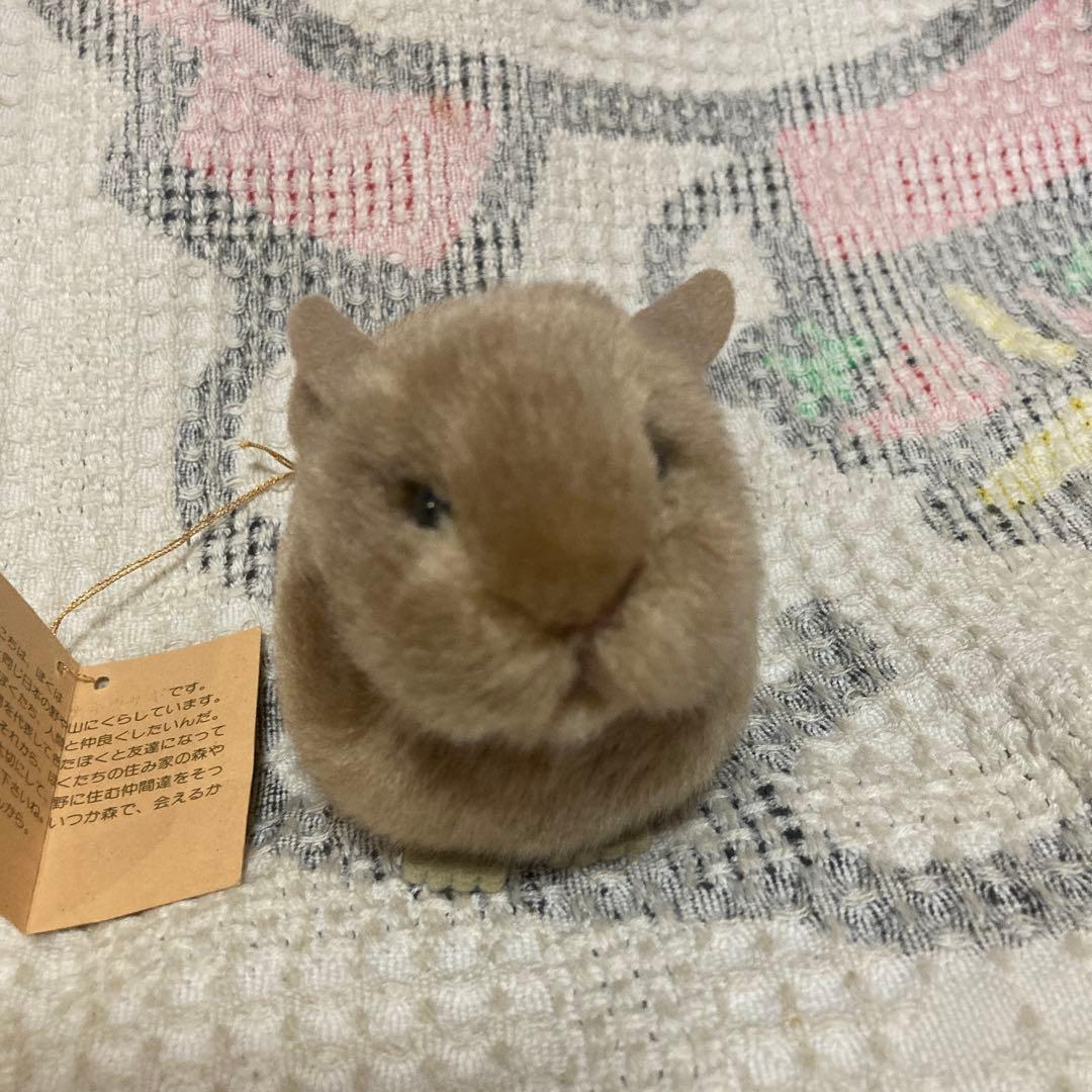 やまね工房　鳴く ナキウサギ　ぬいぐるみ　タグつき　中古品