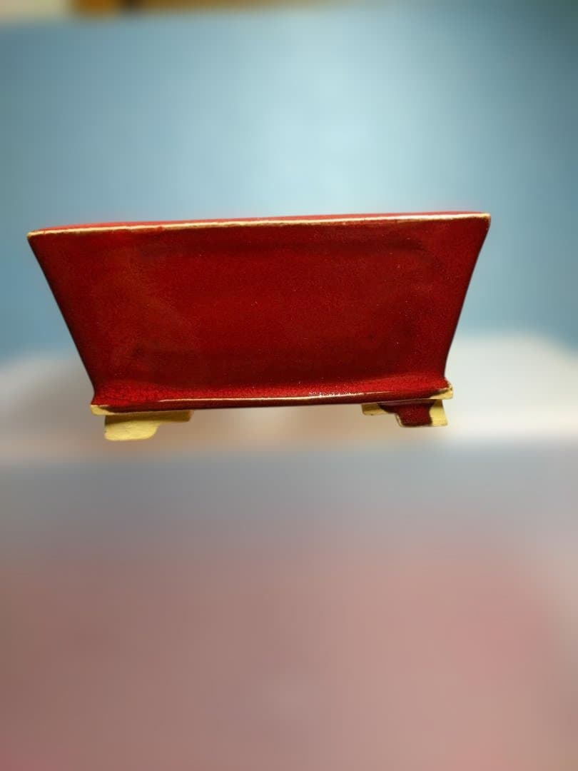 赤い漆器 水指 四角形盆栽鉢