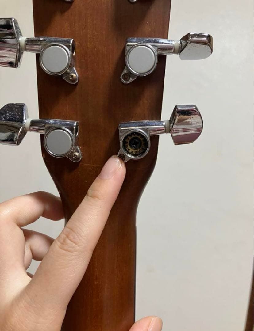 Morris モーリス アコースティックギター アコギ MD-508