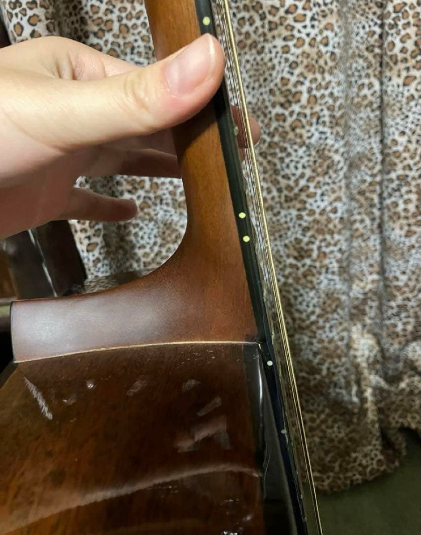 Morris モーリス アコースティックギター アコギ MD-508