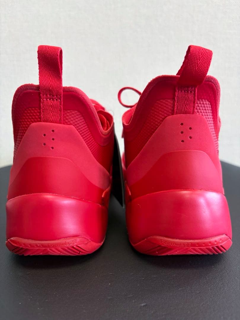 シューズ(男性用) NIKE JORDAN LUKA1 PF \"For The Love\" 28cm