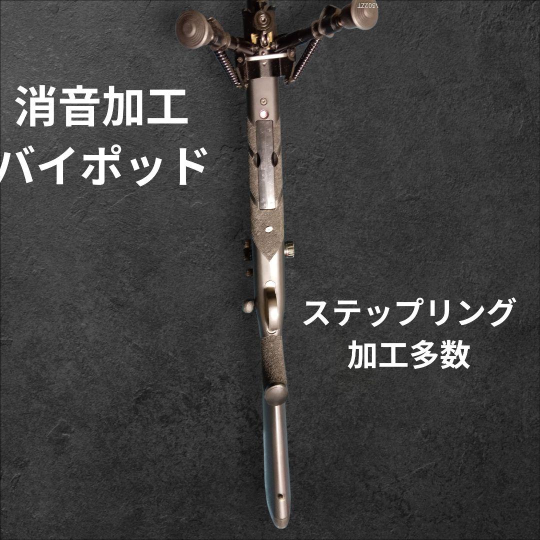 フルカスタムVSRー10 ブラックスチール塗装&静音