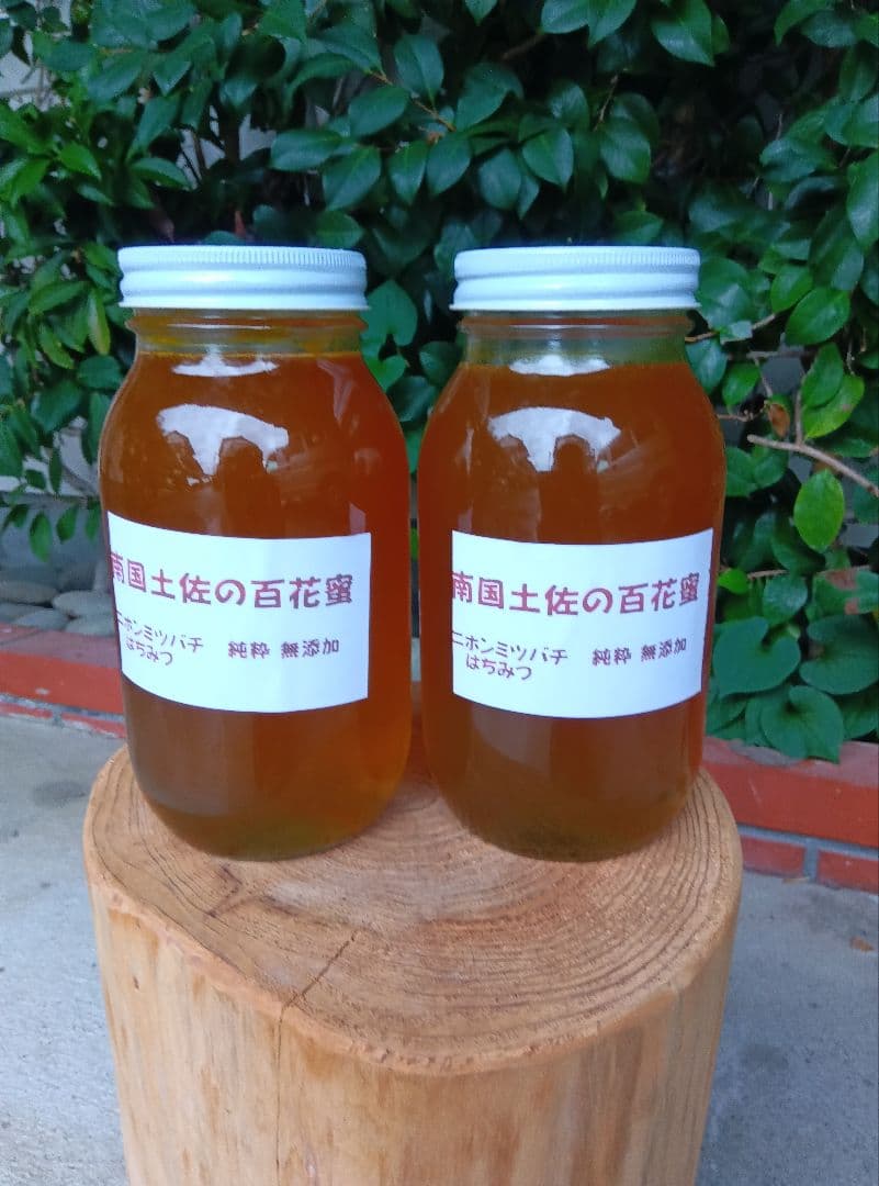 南国土佐の百花蜜　ニホンミツバチ蜂蜜　無添加　無加工　タレ蜜