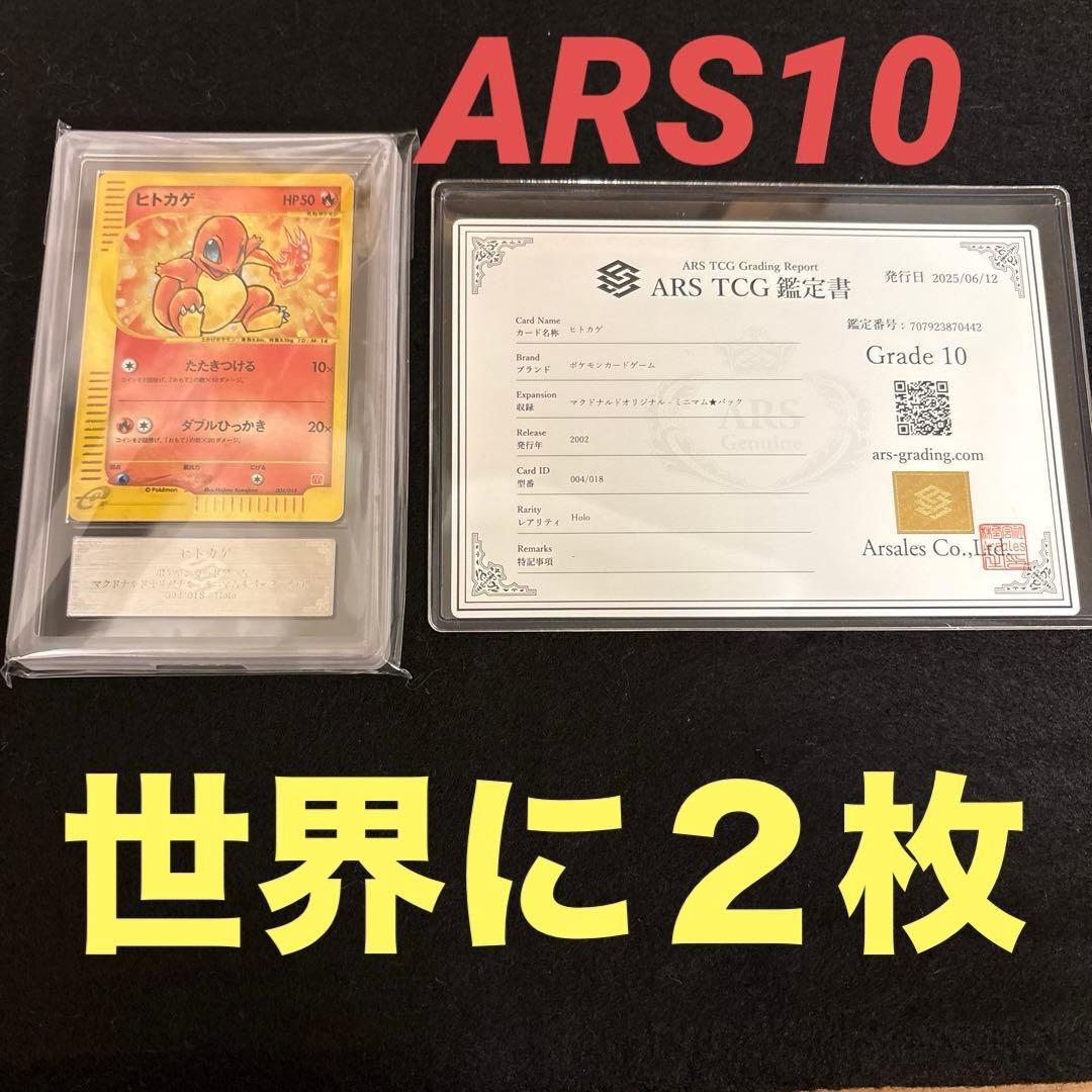 L*様 【ARS10】 ヒトカゲ　ミニマムパック