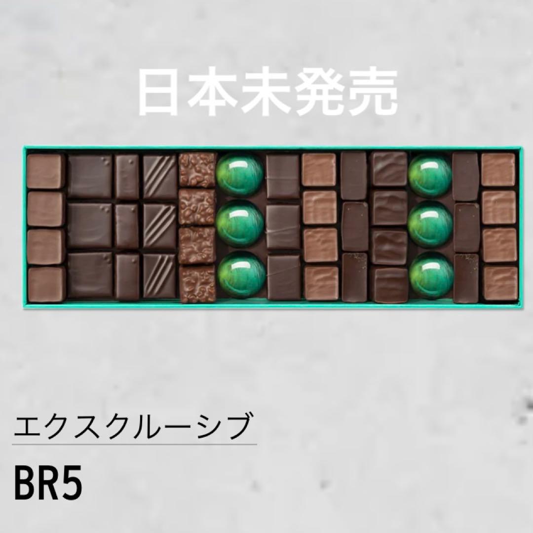 パトリック・ロジェ　チョコレートアソート(エクスクルーシブBR5)