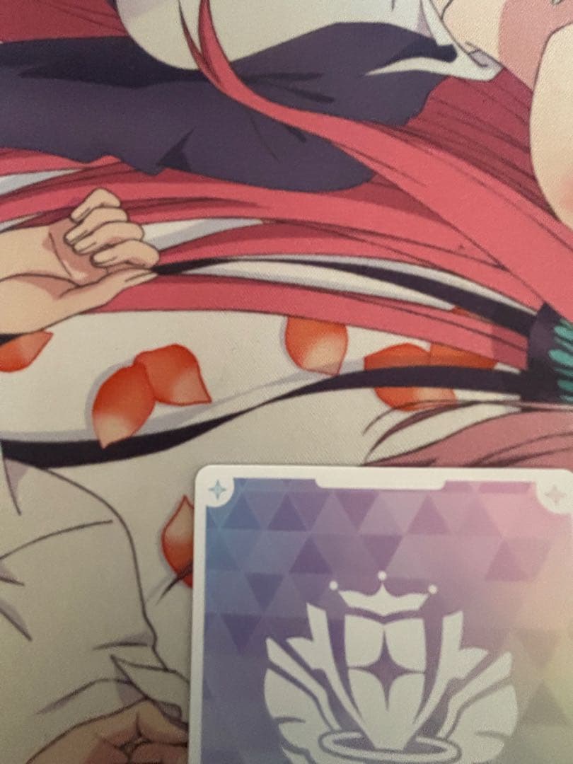 ホロカ　尾丸ポルカ　SEC