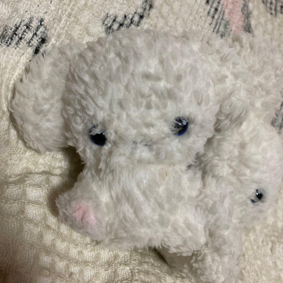 サンエックス　SAN-X ぶるぶるどっぐ　震えるぬいぐるみマスコット　中古品