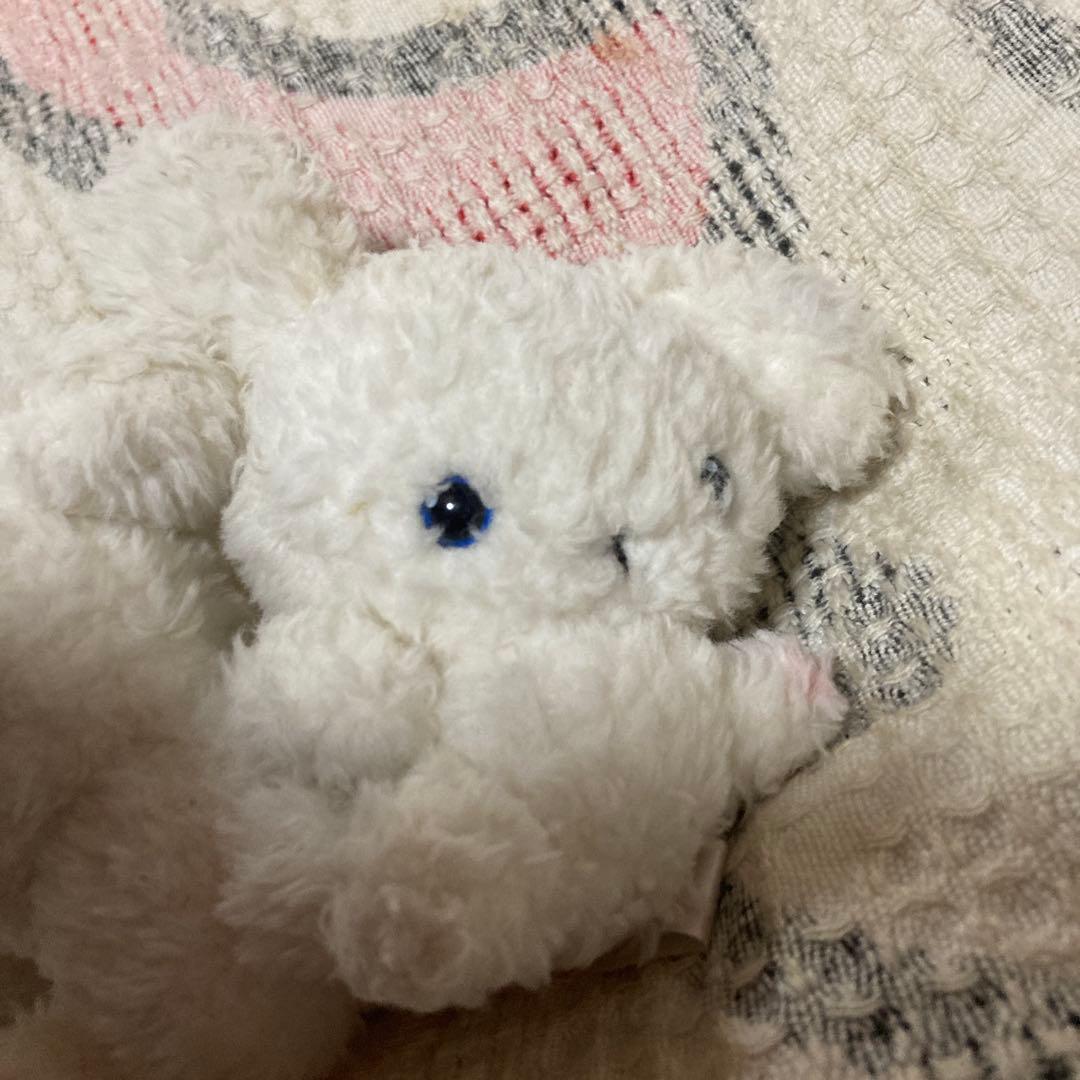 サンエックス　SAN-X ぶるぶるどっぐ　震えるぬいぐるみマスコット　中古品