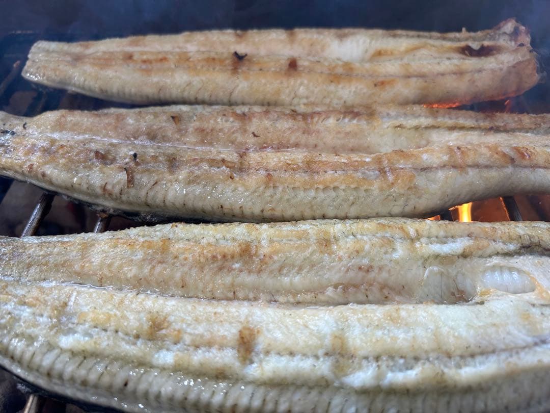 【国産うなぎ】大サイズ140g -170g　三河一色産　6尾セット　炭火焼き鰻