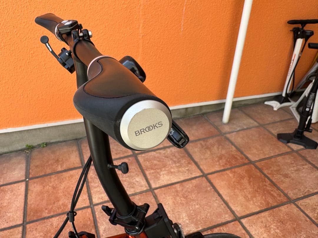 BROMPTON C Line SL2 フレイムラッカー カスタム外装5速