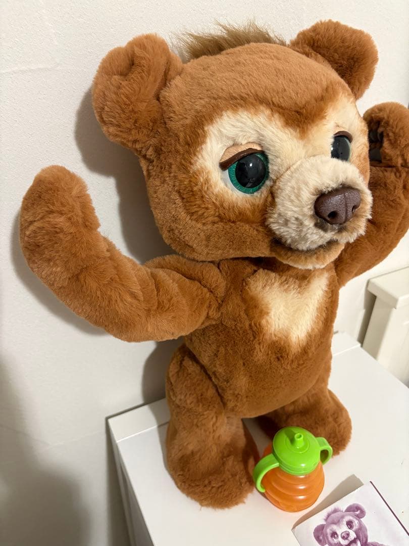 こぐまのカビー　ファーリアル