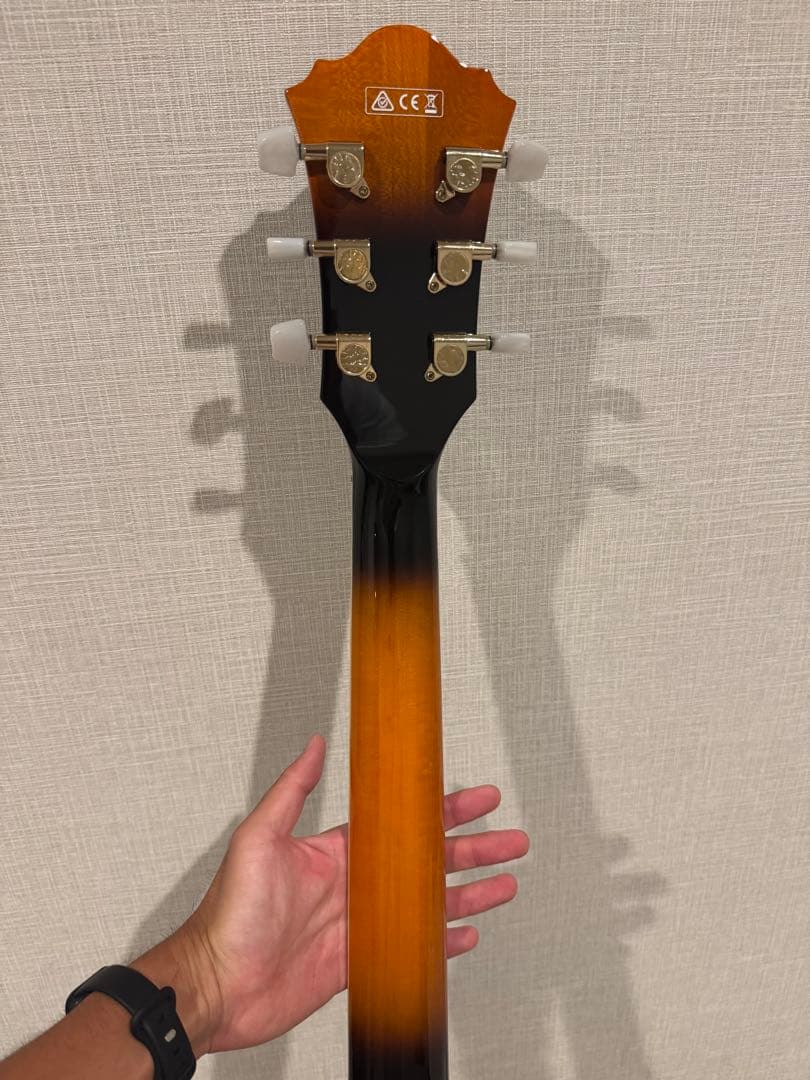 【値下げ】Ibanez GB-10SE-BS 5B-03 ジョージベンソンモデル