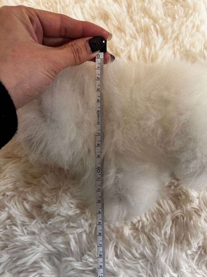 ❣️新商品❣️ベビーアルパカ 100％ 象 ぞう ぞうさん ぬいぐるみ アルパカ