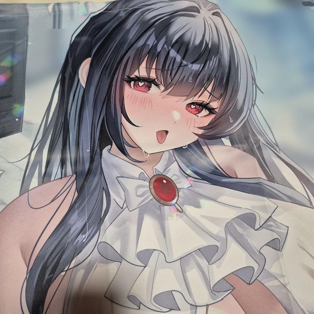 アズールレーン⚠️キャラクタータペストリー 女性(B1)