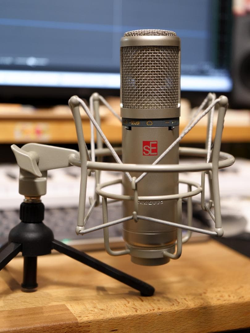 SE ELECTRONICS sE2200a コンデンサーマイク
