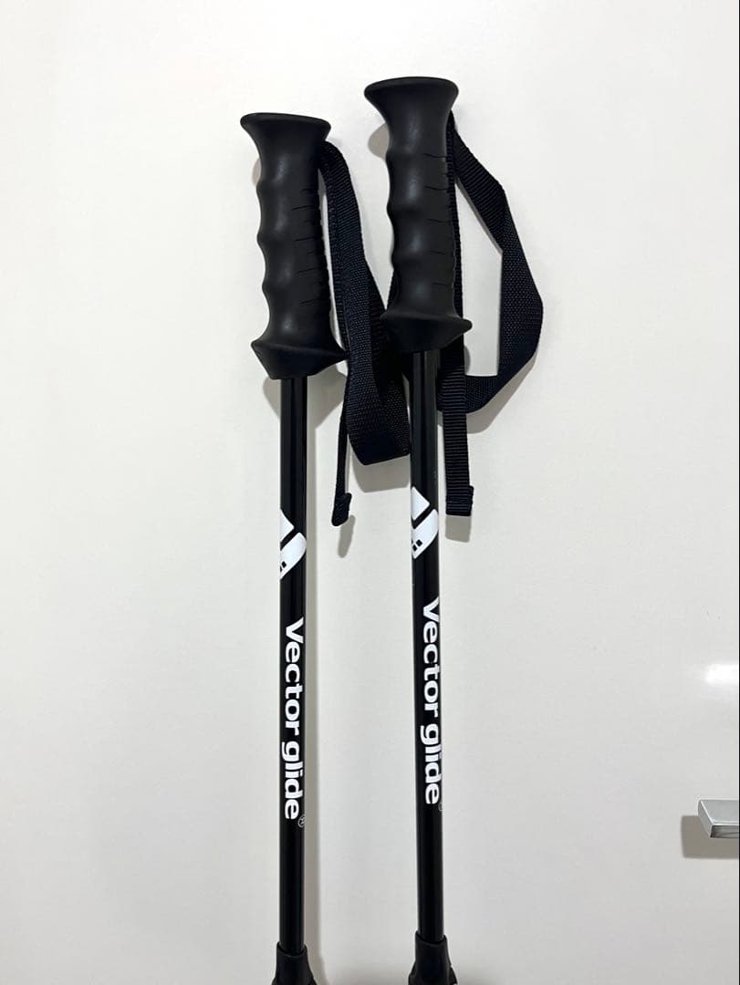 VECTOR GLIDE V STICK スキーポール