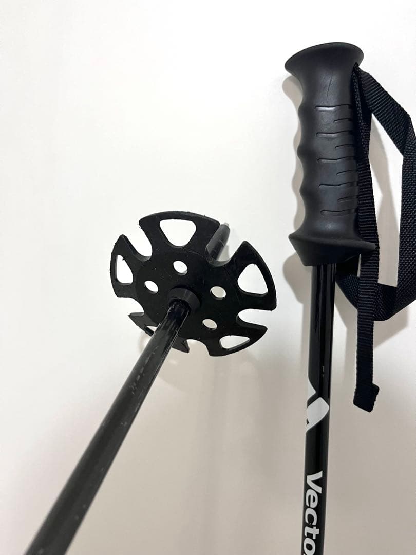 VECTOR GLIDE V STICK スキーポール