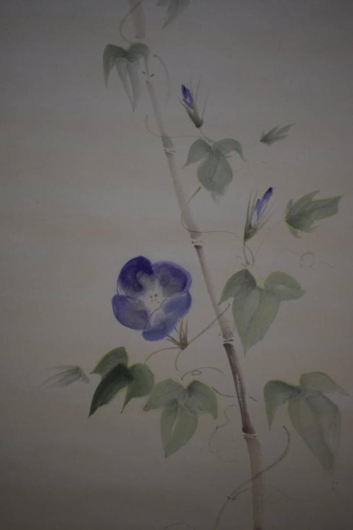 真作/長島涛逸/長島濤逸/朝顔図/桐共箱付/布袋屋掛軸HI-976