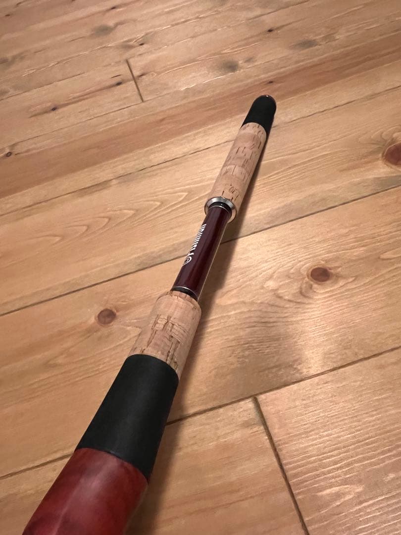 フィッシュマン ブリストマリノ9.9H