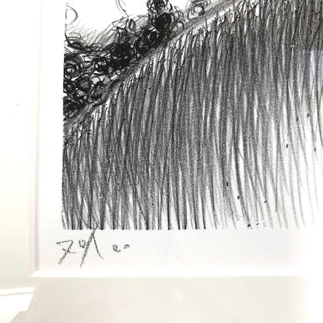 天野喜孝　リトグラフ　星の降る夜　アールビバン　70/100 サイン入り　美品