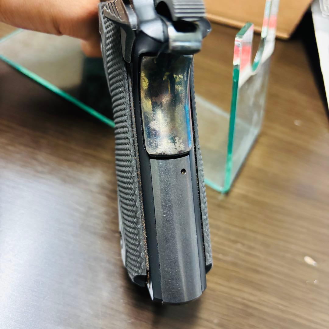 テントウコルトガバメント