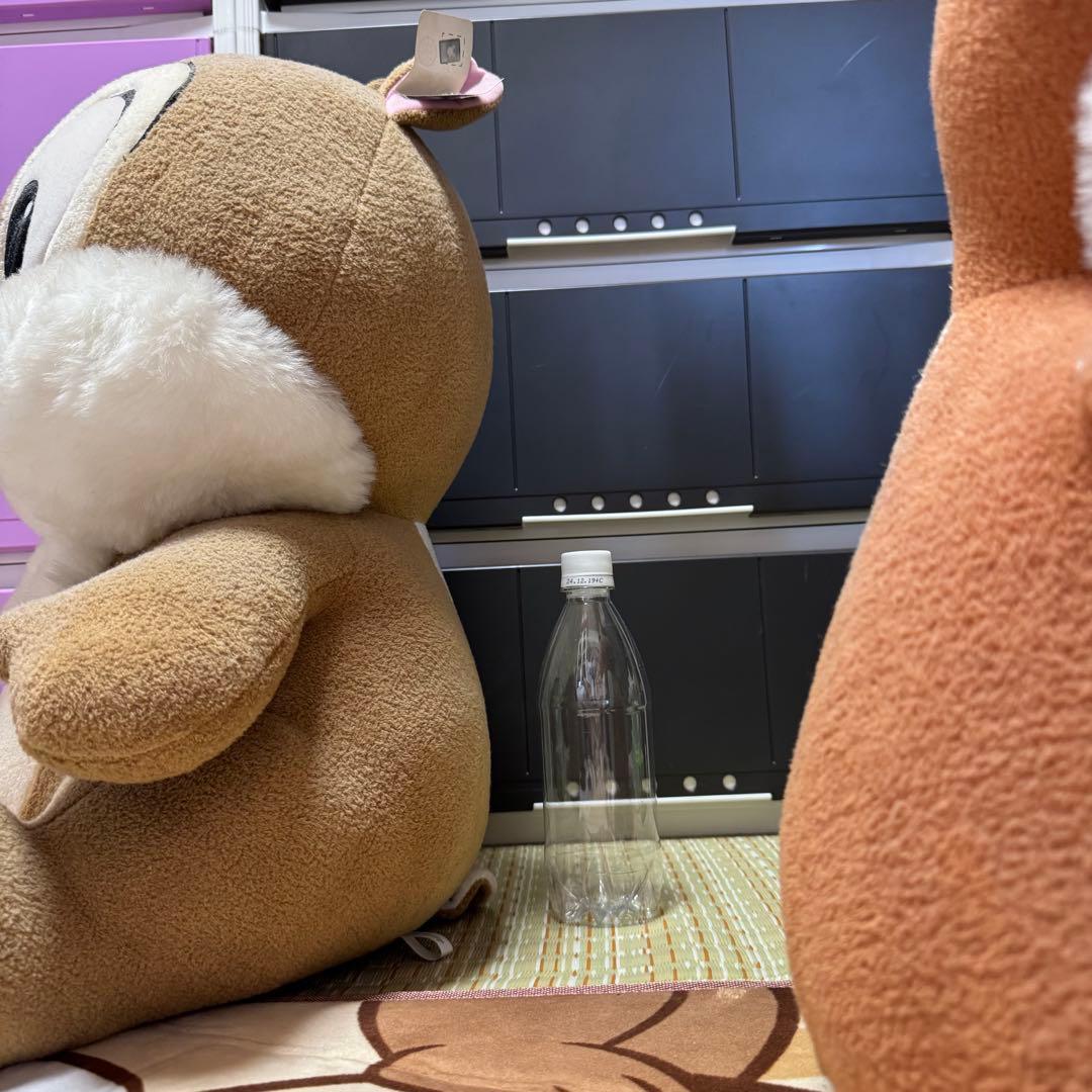 チップとデール ぬいぐるみセット 約53cm 超BIG