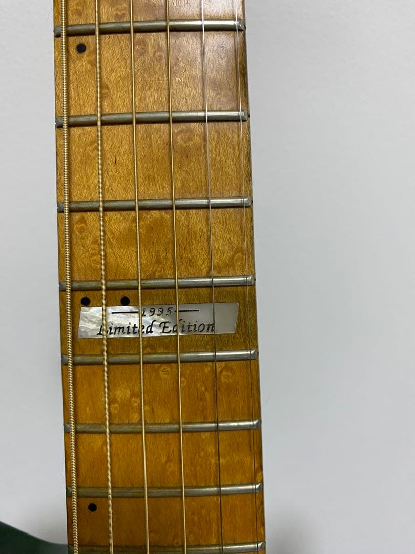 Godin LR Baggs Electronic グリーンエレキギター