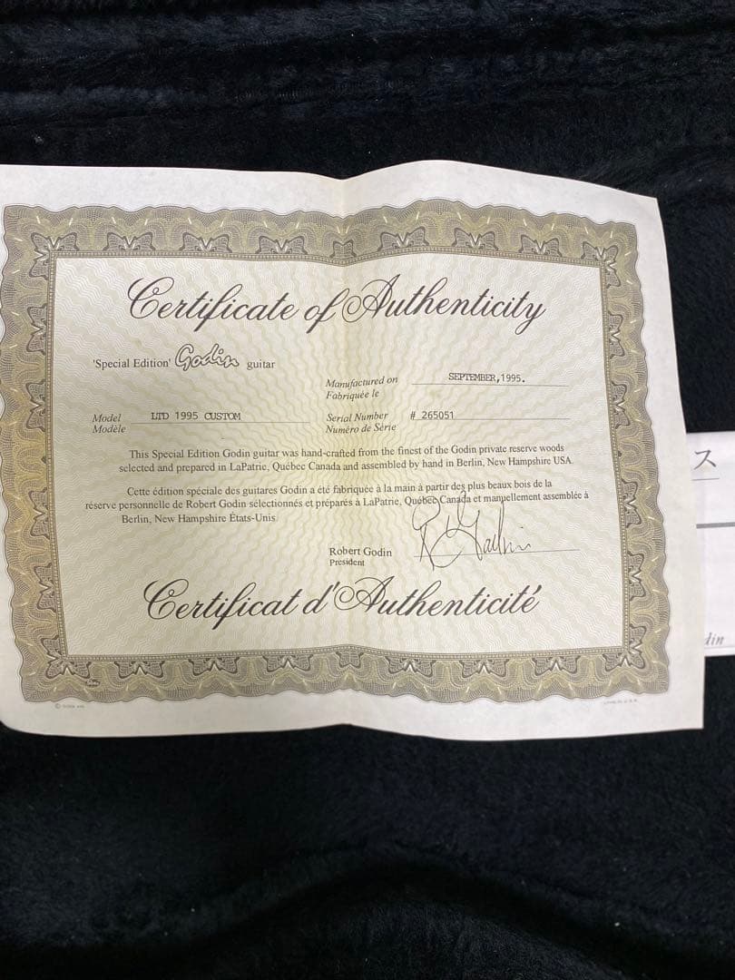 Godin LR Baggs Electronic グリーンエレキギター