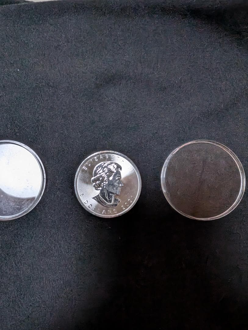 カナダ・メープルリーフ銀貨 1オンス 5ドル 2021年【5枚】