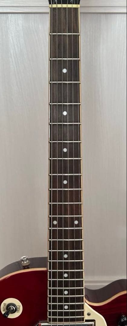 セミアコEpiphone Wildkat ビグズビー搭載 ワイルドキャット