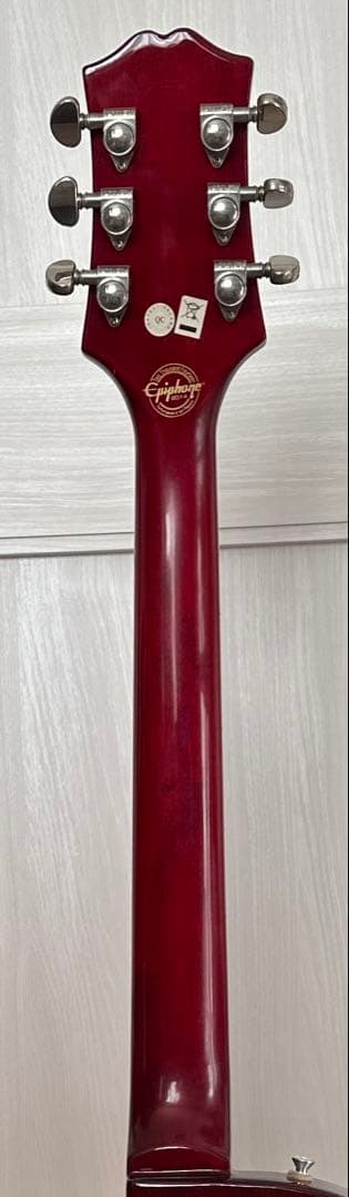 セミアコEpiphone Wildkat ビグズビー搭載 ワイルドキャット