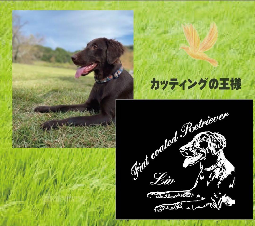 クオリティの高いオーダーカッティングステッカー