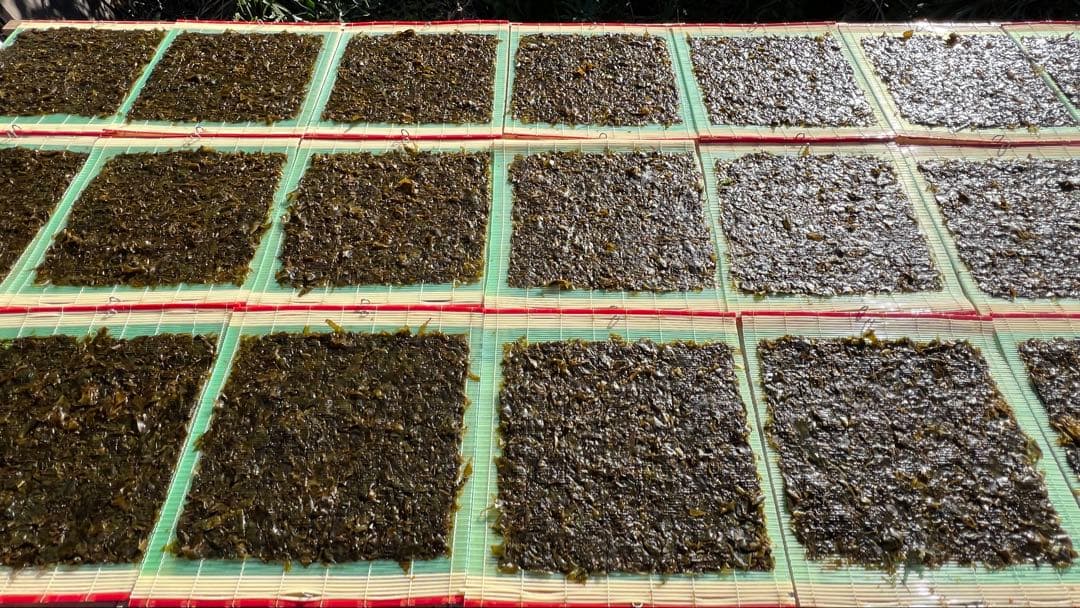 【送料無料】こなん　新物はばのり20枚