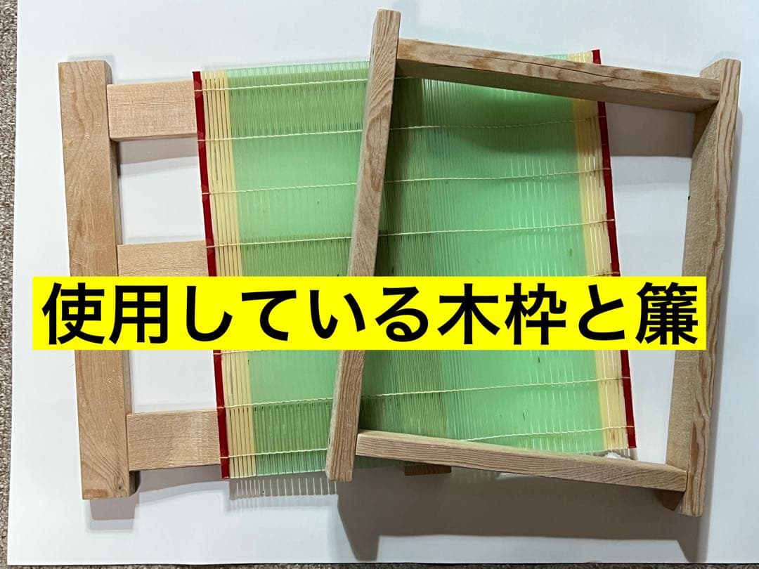 【送料無料】こなん　新物はばのり20枚