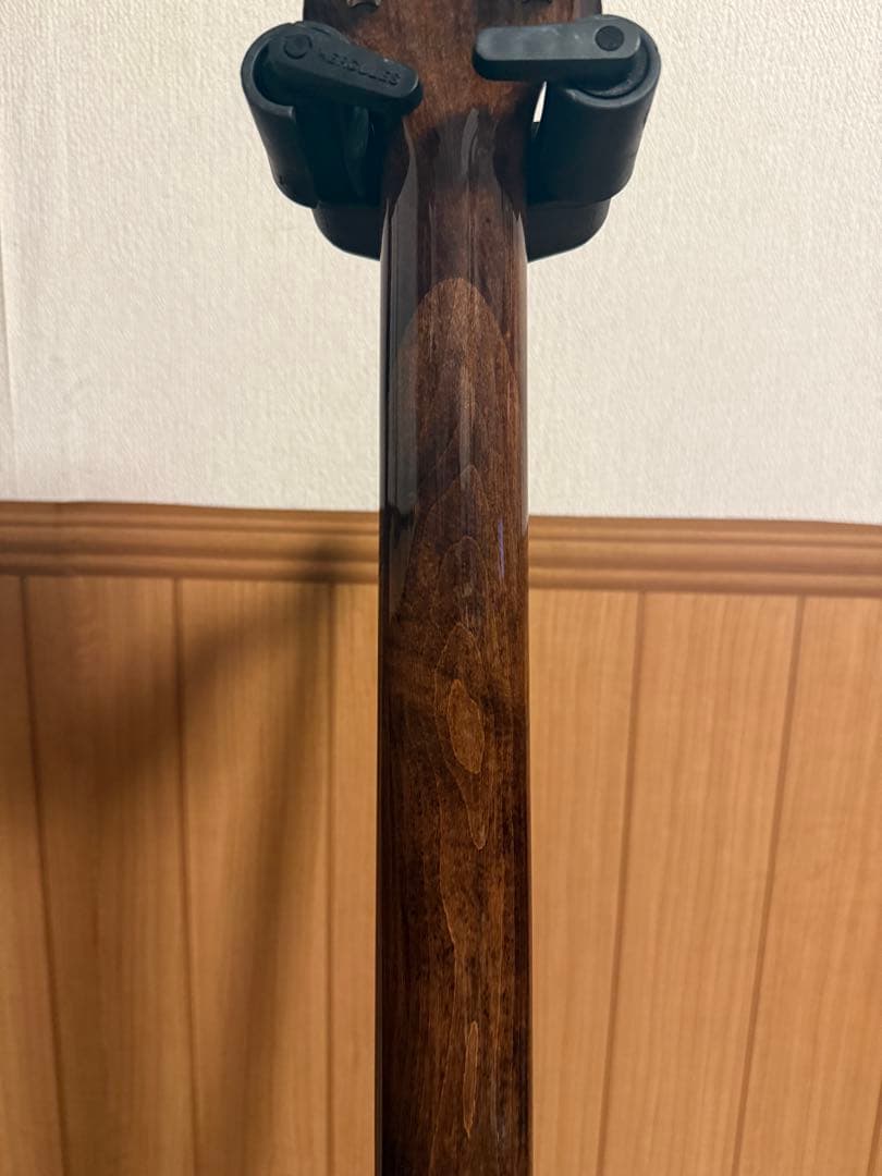 EXRUBATO-STD/S-JT セミアコ