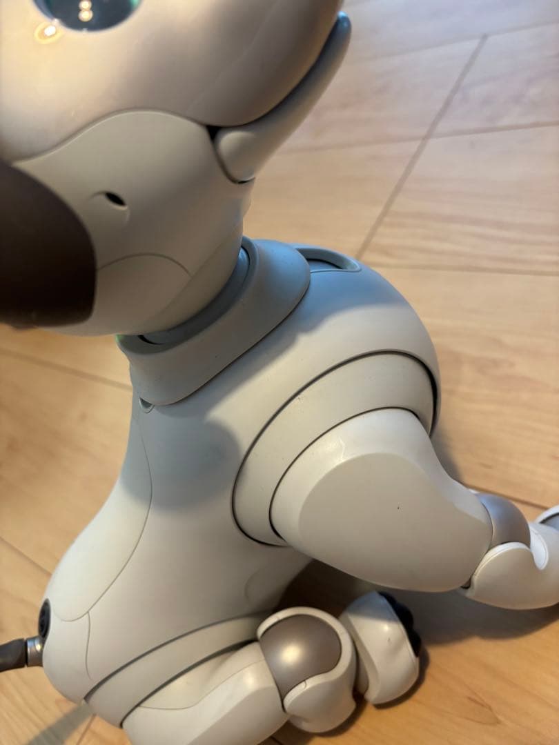 SONY/ソニー aibo/アイボ ERS-1000 本体