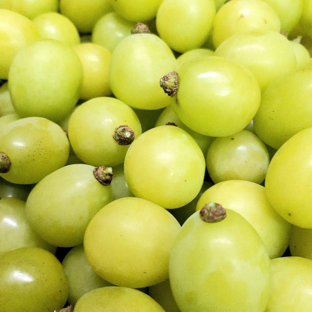 完熟多めのシャインマスカット増量の、徳用5.5キロ入りの粒バック入りになります。