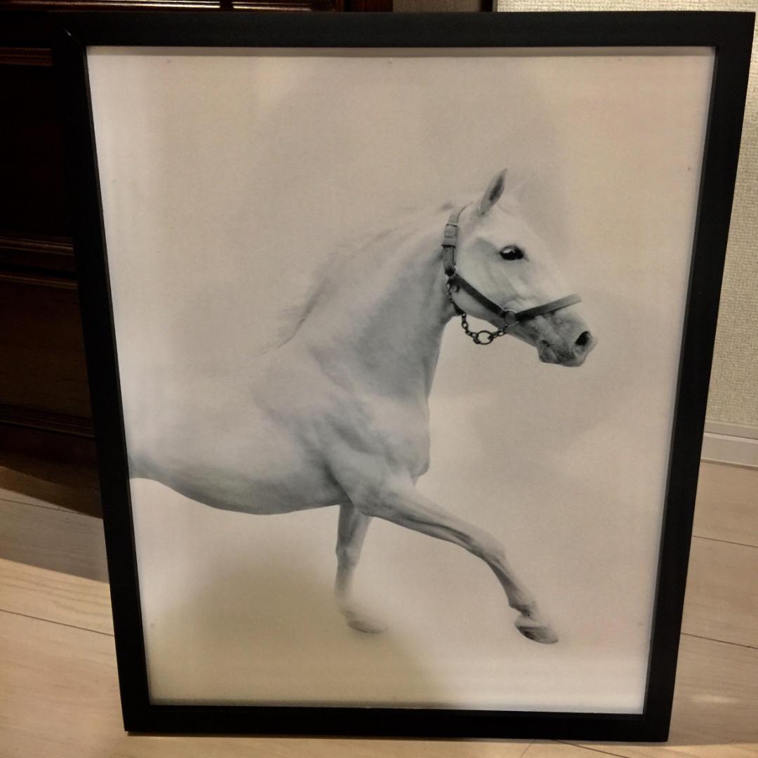 【送料無料】450×550　白馬　ホワイトホース　額付き　アートポスター