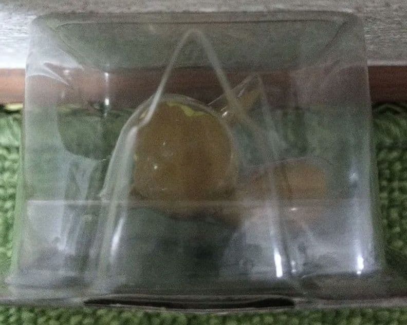 初代 モンコレ イーブイ フィギュア No.133 ポケモン TOMY 初期