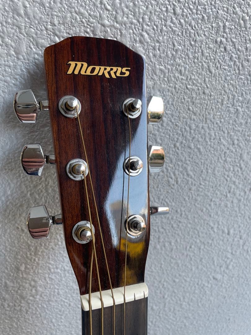 Morris(モーリス) / F-25 TS - アコーステックギター