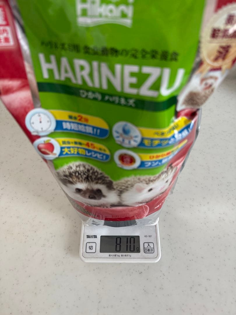 ハリネズミ　飼育セット