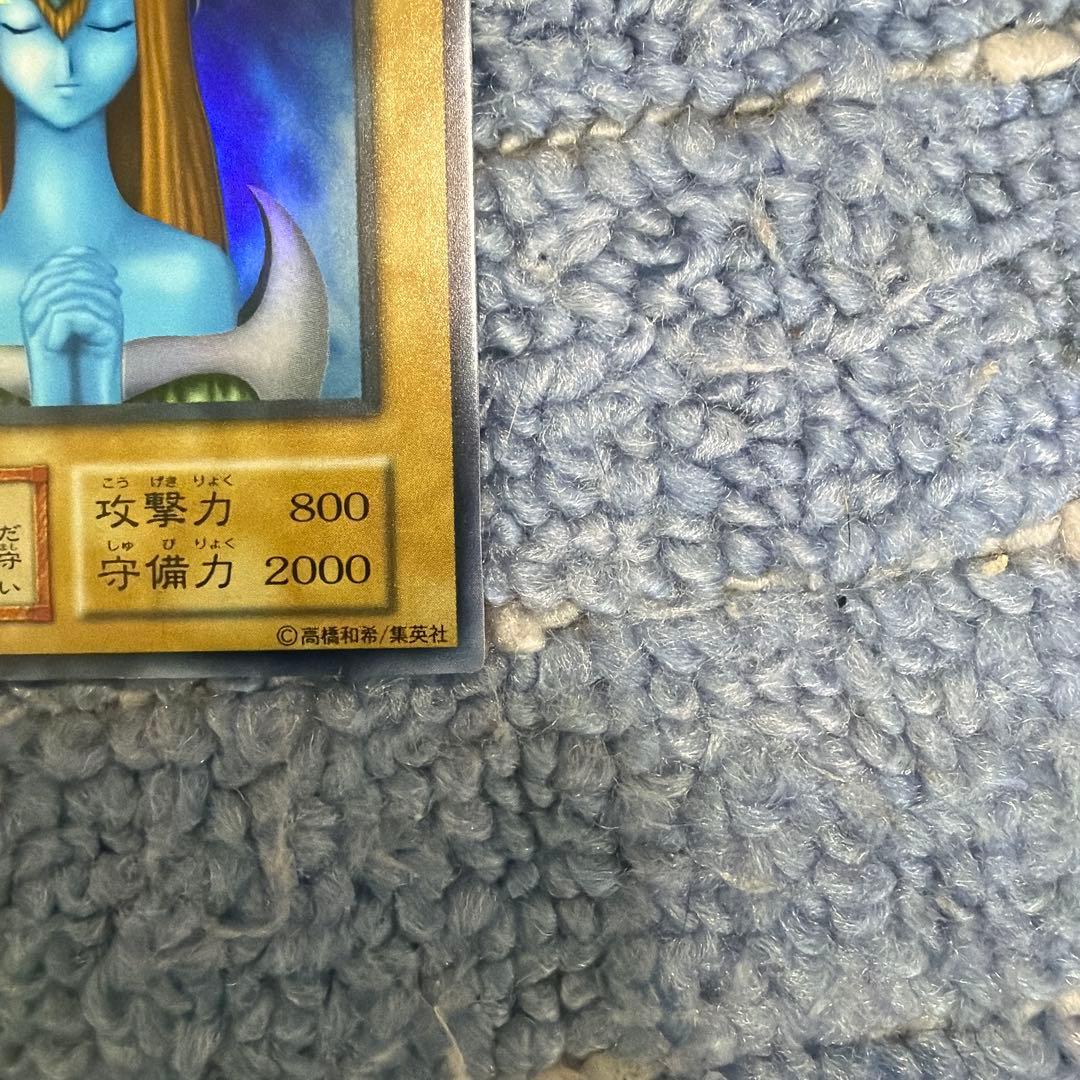 美品　ホーリー・エルフ　遊戯王カード　OCG