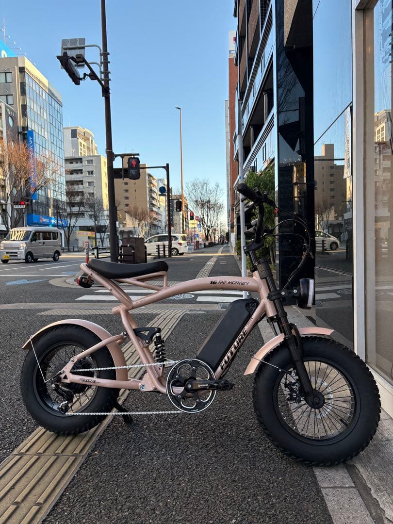 16インチファットバイク